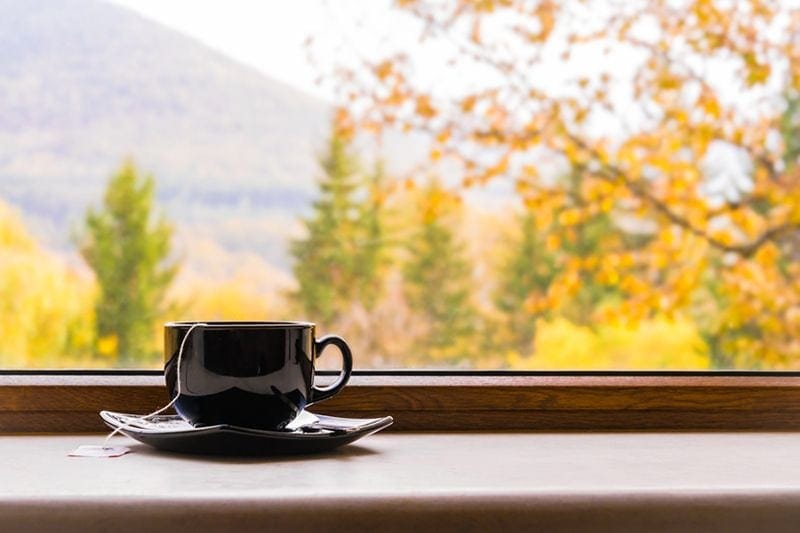 Why Do I Need a Humidifier in the Fall? Image of teacup and saucer on windowsill overlooking fall foliage.